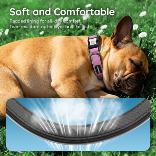 Personalized Dog Collar with QR Code Dog Tag, Oxford Pink S