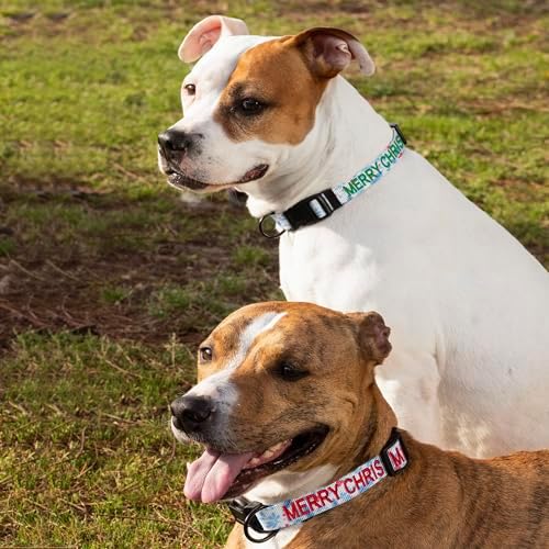 Pawtitas Personalized Dog Collar Dog Soft Adjustable Puppy Collar Customizable Embroidered add Pet Name Phone Number or Phrase Small Teal Mistletoe