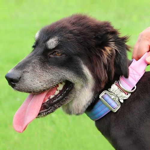 Thick Tactical Heavy Duty Dog Collar with Handle for Large Dogs (Pink)