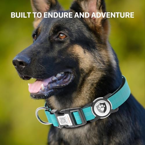 Waterproof AirTag Dog Collar with QR Code Dog Tag, Blue S
