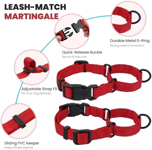 VIVAGLORY Double Handle Dog Leash Twingrip, 5ft x 1in, L, Red