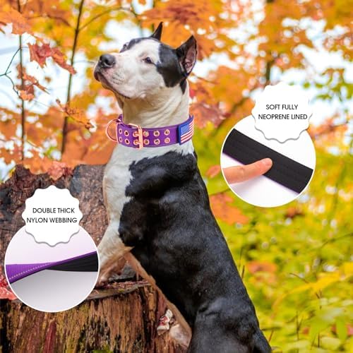 Heavy Duty Dog Collar for Medium Large Dogs,Purple,Medium