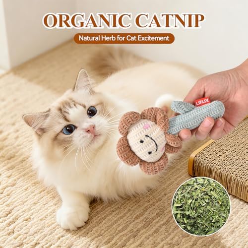 LIFLIX 3PCS Catnip Cat Toys, Cute Cat Nip Plush Toys for Indoor Cats, Interactive Small Cat Kicker Toys(3 Shapes)