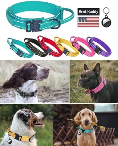AUBELL Reflective Tactical Heavy Duty Dog Collar with Handle,Teal L