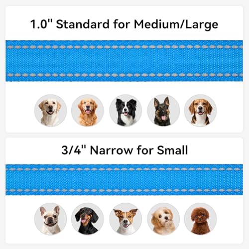 Joytale Reflective Dog Leash for Small Dogs, 6 FT x 3/4", Sky Blue