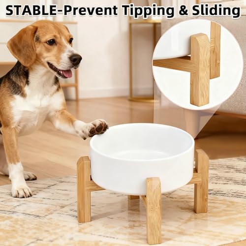 Elevated/Raised Ceramic Dog Bowl with Bamboo Stand，6 Inch 3.6 Cups Non Slip Heavy Weighted Single Pet Dish, for Small Medium Breed & Cats,Reduces Neck Strain White