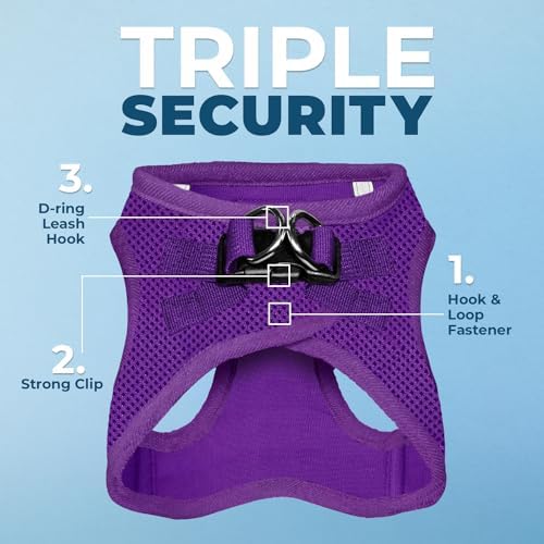 Best Pet Supplies Voyager Step-in Air All Weather Mesh Harness and Reflective Dog 5ft Leash Combo with Neoprene Handle, for Small, Medium and Large Breed Puppies - Purple, XXX-Small