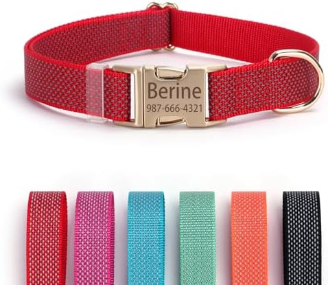Personalized Reflective Dog Collar