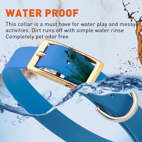 Viper Biothane Heavy Duty Waterproof Dog Collar Strong Coated Nylon Webbing w/Solid Brass Hardware Odor-Proof Easy to Clean High Performance Fits Small Medium or Large Dogs, Cerulean Blue