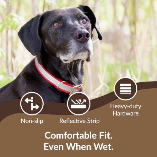 dogIDs Personalized Reflective Waterproof Dog Collar - Custom, Durable, Adjustable, Odor Resistant, Safe, Engraved - Red, 1 in x 16 in (Fits Neck Sizes: 14-18 in)
