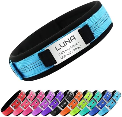 Reflective Personalized Dog Collar with Name Tag，Sky Blue：S