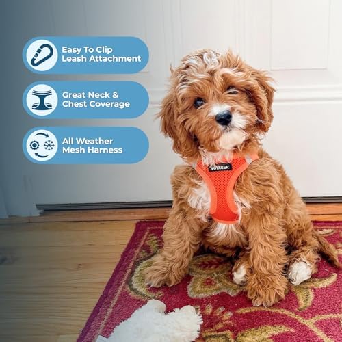 Best Pet Supplies Voyager Step-in Air All Weather Mesh Harness and Reflective Dog 5ft Leash Combo with Neoprene Handle, for Small, Medium and Large Breed Puppies - Orange, XXX-Small