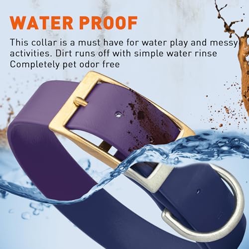 Viper Biothane Heavy Duty Waterproof Dog Collar Strong Coated Nylon Webbing w/Solid Brass Hardware Odor-Proof Easy to Clean High Performance Fits Small Medium or Large Dogs, Violet Purple