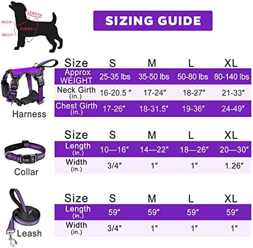 WINSEE Pet Harness Collar and Leash Set, All-in-one Reflective Dog Harness No Pull with Adjustable Buckles for Puppies, Small, Medium, Large, and Extra-Large Dogs (Medium, Purple)