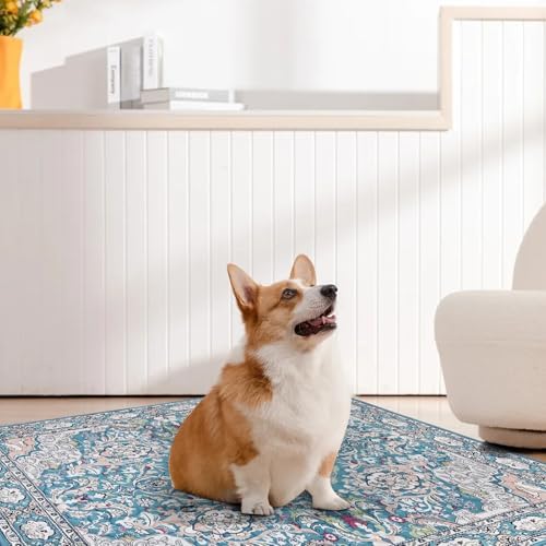 Washable Pee Pads for Dogs, Puppy Pads with Pheromones, 2026 Upgraded PuppyPad 72"x72" Waterproof Non-Slip Reusable Puppy Pad with Fast Absorbent,Leakproof Whelping Pads for Pet Housebreaking
