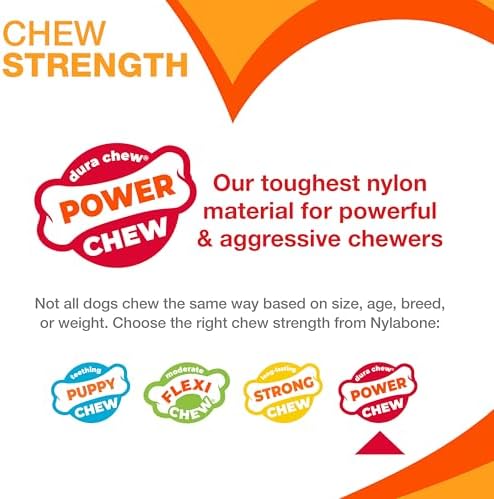 Nylabone Power Chew Easy-Hold Wishbone Dog Chew Toy, Small