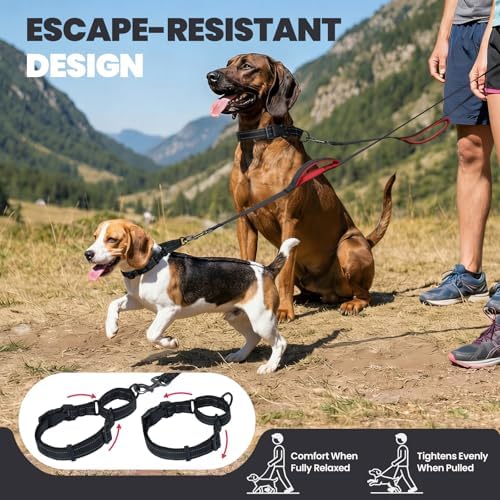 VIVAGLORY Double Handle Dog Leash Twingrip, 5ft x 1in, S, Black