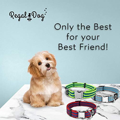 Regal Dog Products Twill Dog Collar, Large Red/Blue Stripe
