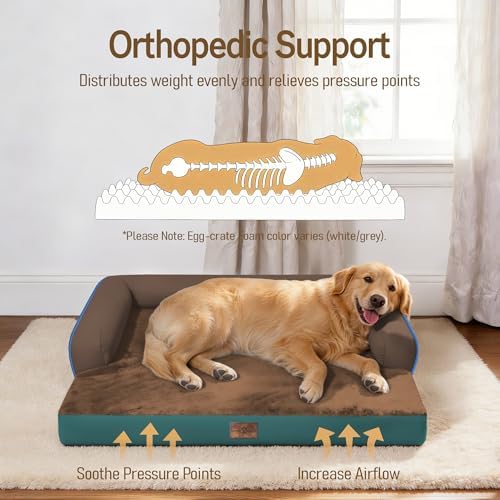 Comfort Expression Washable Dog Bed with Bolster for Medium to Large Dogs