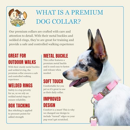 Country Brook Petz - Premium Nylon Dog Collar with Metal Buckle for Small Medium Large Breeds - 30+ Colors (Medium, 3/4 Inch, Pink)