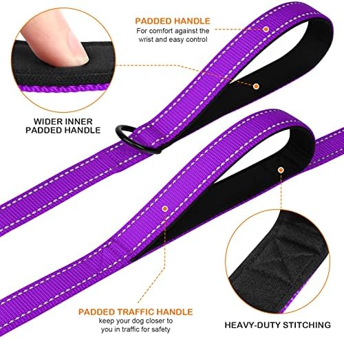 Joytale Dog Leash for Large Dogs that Pull, Double Handle, 5FT, Purple