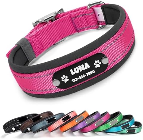 Custom Dog Collar with Engraved Name & Number, Rose: L