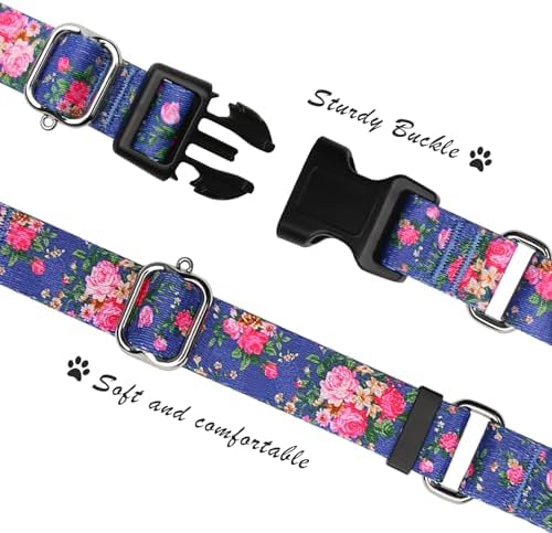 Hikiko Martingale Collar for Dogs with Special Pattern,Adjustable,L