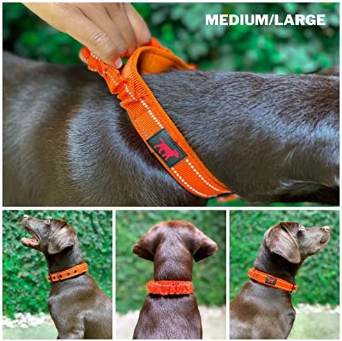 Tuff Pupper Heavy Duty Dog Collar with Handle | Ballistic Nylon Heavy Duty Collar | Padded Reflective Dog Collar with Adjustable Stainless Steel Hardware | Convenient Sizing for All Breeds