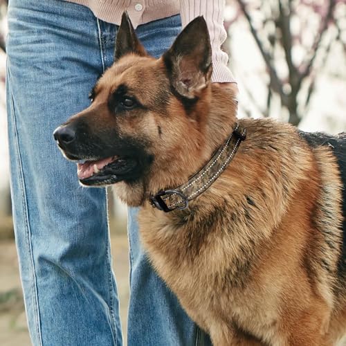 Kazazoo Large Dog Collar, Reflective Nylon Collar,No Pull,Heavy Duty Collar,Soft Neoprene Breathable & Quick Release Buckle Dog Collars for Labrador Retriever,German Shepherd,Golden Retriever camo-XL