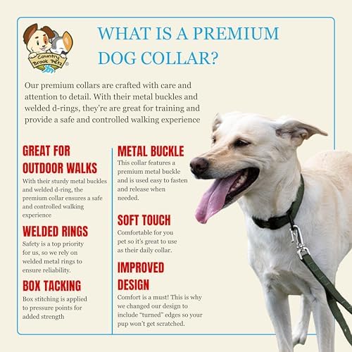 Country Brook Petz - Premium Nylon Dog Collar with Metal Buckle for Small Medium Large Breeds - 30+ Colors (Extra Large, 1 Inch, Dark Olive Drab)