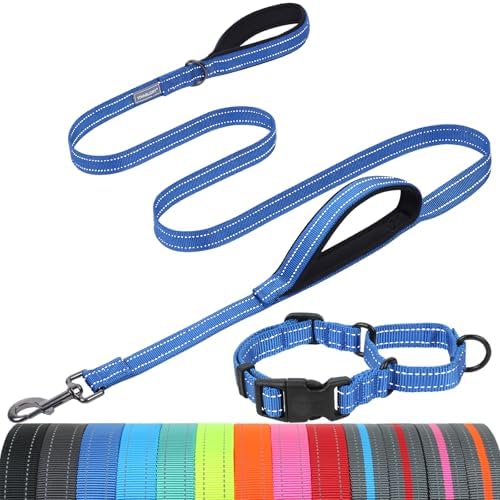 VIVAGLORY Double Handle Dog Leash Twingrip, 5ft x 1in, S, Navy