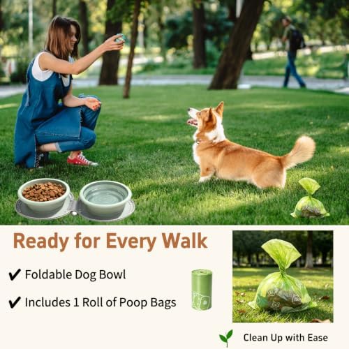 2-in-1 Collapsible Dog Travel Bowl Portable Silicone Carabiner