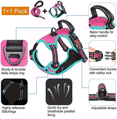 tobeDRI No Pull Dog Harness Adjustable Reflective Oxford Easy Control Medium Large Dog Harness with A Free Heavy Duty 5ft Dog Leash, Pink/Blue, L