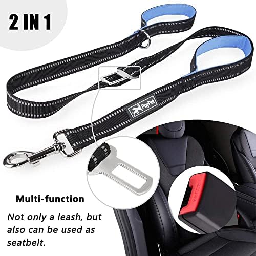 PoyPet 5 Feet Dog Leash with 2 Cushioned Handles (Light Blue)