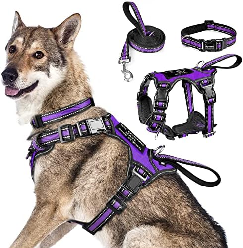 WINSEE Pet Harness Collar and Leash Set, All-in-one Reflective Dog Harness No Pull with Adjustable Buckles for Puppies, Small, Medium, Large, and Extra-Large Dogs (X-Large, Purple)