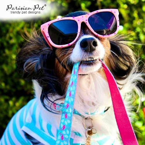 Parisian Pet Flamingo Dog Leash - Nylon Heavy Duty Training Leashes for Dogs with Comfortable Handle - Strong Metal Clip 4Ft Puppy Leash - Durable Chew Proof Leashes for Small and Medium Dogs Girl