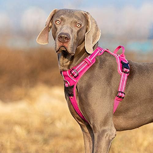 WINHYEPET True Love No Pull Dog Harness Extra Reflective Pet Harness for Small Medium Large Dogs Adjustbale for Running Walking Padded Soft Mesh Vest Easy Control TLH56512(Fushcia,XL)