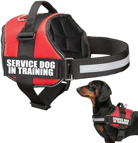 Industrial Puppy Service Dog in Training Vest Harness, XXXS 11.5-13 in, Red