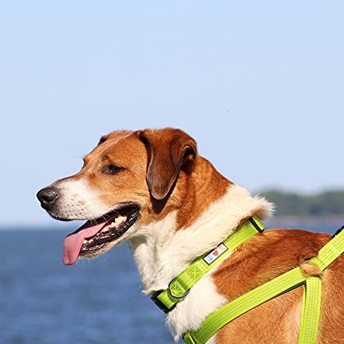 Pawtitas Reflective Dog Collar for X-Small Dogs – Adjustable Nylon Puppy Collar with Quick-Release Buckle | Fits Neck 8–13 in | Night Safety Training Collar | XS | Pink