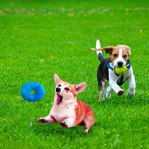 Dog Toys for Puppy Playtime, Teeth Cleaning, Teething - Squeak Chew Toys for Small Dogs, Chihuahua - 6pcs (Shark)