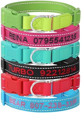 Custom Nylon Reflective Dog Collar, Personalized Embroidered Dog Collar with Name and Phone Number, Upgraded D-Shaped Leather Ring, 4 Adjustable Sizes - for Boy, Girl Dogs (Embroidery)