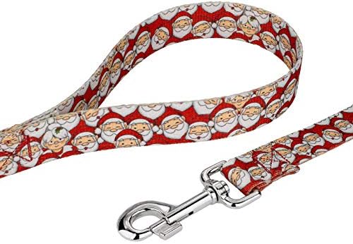 Country Brook Petz - Where's Merry Everyday Dog Leash - Christmas Collection Featuring Festive Designs (4 Foot, 5/8 Inch Wide)