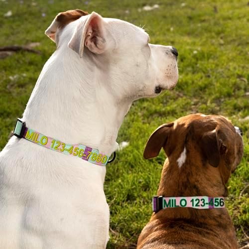 Pawtitas Pet Soft Adjustable Solid Color Puppy Collar Dog Multicolor Personalized Customizable Embroidered Customize w Name & Phone Number Teal Pink Purple Extra Small Customized X-Small (Pack of 1)