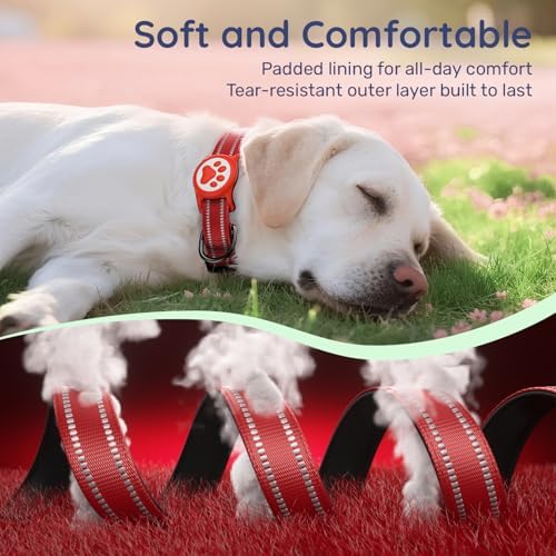 Premium Airtag Dog Collar，with IP68 Waterproof AirTag Holder,Red,S
