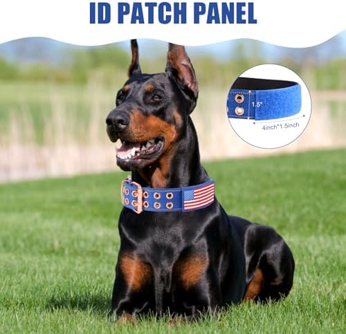 Heavy Duty Dog Collar for Medium Large Dogs,Blue,Large