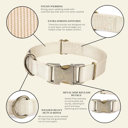 Country Brook Petz - Premium Nylon Dog Collar with Metal Buckle for Small Medium Large Breeds - 30+ Colors (Extra Large, 1 Inch, Almond)