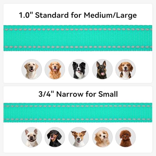 Joytale Reflective Dog Leash for Small Dogs, 6 FT x 3/4", Turquoise