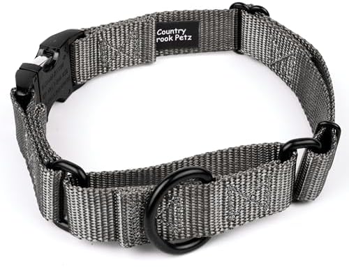 Country Brook Petz - Martingale Dog Collar - Heavy Duty Nylon Adjustable Martingale Dog Collar with Metal Buckle for Small Medium Large Breeds - 30+ Color Options (1 Inch, Large, Charcoal)