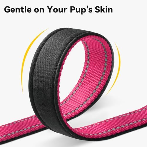 Joytale Personalized Dog Collar with Name Plate Built-in for XSmall Dogs