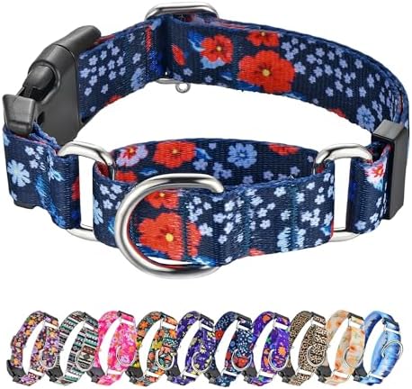 Hikiko Martingale Collar for Dogs with Special Pattern,Adjustable,M